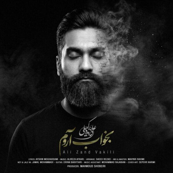 کاور آهنگ بخواب آروم از علی زندوکیلی