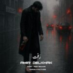 امیر دل خاک – رفت