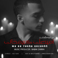 کاور آهنگ مرا تنها گذاشت از امیرعلی کریمخانی