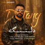 رضا گودرزی – دلتنگ