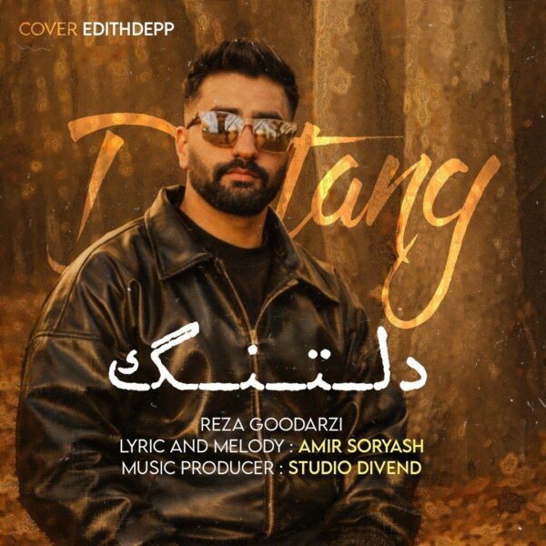 کاور آهنگ دلتنگ از رضا گودرزی