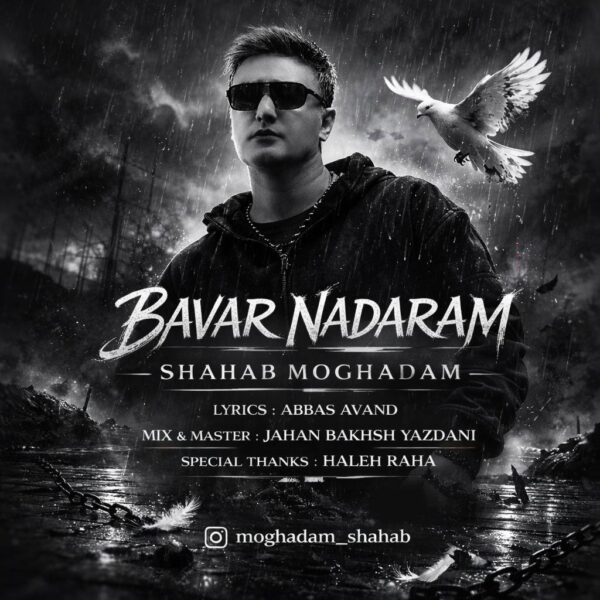 کاور آهنگ باور ندارم از شهاب مقدم