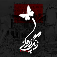 کاور زنگ پرواز