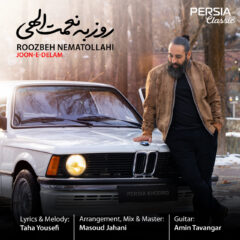 کاور جون دلم