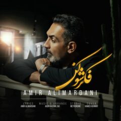 کاور آهنگ فکرشو کن از امیر علیمردانی