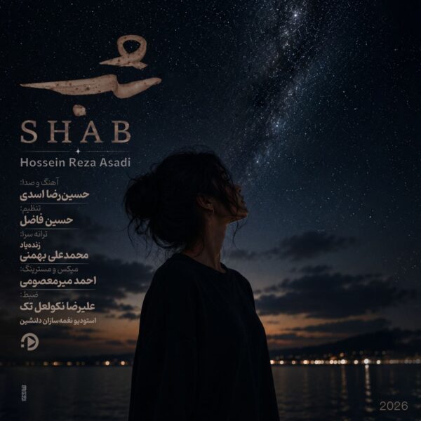 کاور آهنگ شب از حسین رضا اسدی