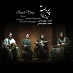 میلاد علی آبادی – پر بسته