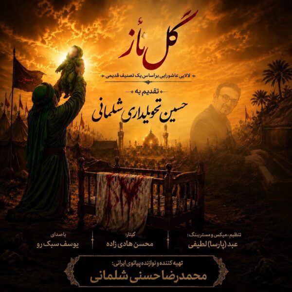 کاور آهنگ گل ناز از محمدرضا حسنی و یوسف سبک رو