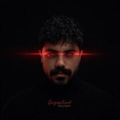 کاور آهنگ گرگم کردی از هونام