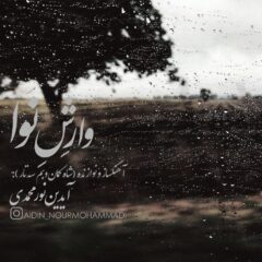 کاور وارش نوا