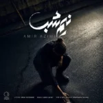 امیر عظیمی – نیم شب