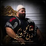 حمید کاکاوند – دوتا گل بیم د باغ آشنایی