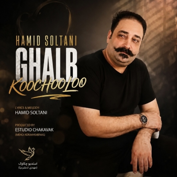 کاور آهنگ قلب کوچولو از حمید سلطانی