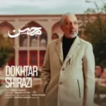 آرشیو آهنگ های محسن قمی