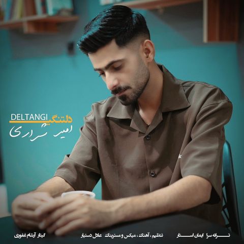 کاور آهنگ دلتنگی از امیر شراری کاور آهنگ دلتنگی از امیر شراری