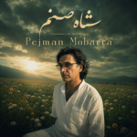 پژمان مبرا – شاه صنم