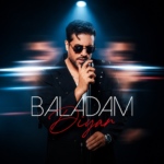 دیار – بلدم