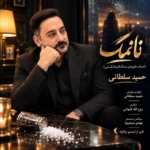 حمید سلطانی – نانمک