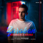 محمدرضا میرعماد – ضربان