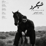محمد شجاعی – شبگرد