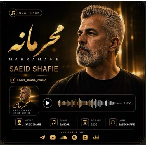 کاور آهنگ محرمانه از سعید شفیعی کاور آهنگ محرمانه از سعید شفیعی