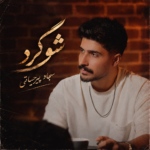 سجاد پیرحیاتی – شوگرد