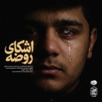 کربلایی سید محمد حسین محمودی – اشکای روضه