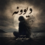 سهراب ابوترابی – دیوونه