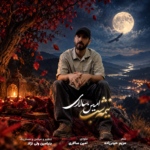 امین سالاری – نیمه شب