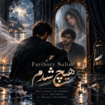 فریبرز سلیمی – هیچ شدم