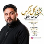 حمیدرضا جلالی – گل نرگس