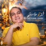 کیوان امیدی – از تو خواستم