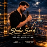 میلاد امیر انصاری – شب سرد