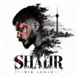 میر احمد – شهر