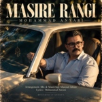 محمد انوری – مسیر رنگی