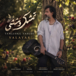 والایار – تمشک وحشی
